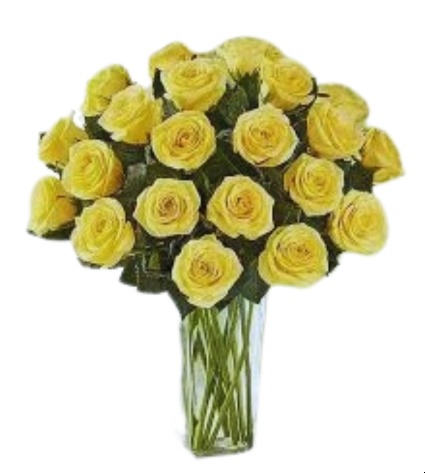 2 Dozen Yellow Rose