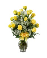 2 dozen yellow roses roses