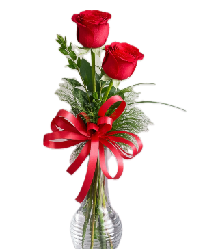 2 red roses Roses