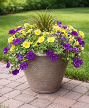 18" Annual Patio Pot Annual flowering plants