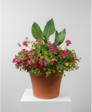 20 Inch Flowering Combo Pot  Plant 