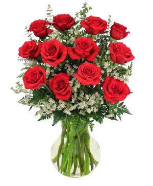 Dozen Roses 