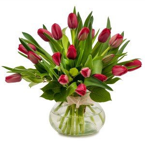 TIMELESS TULIPS *AVAILABLE IN ASSORTED COLORS ONLY**