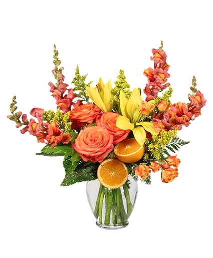 THE FLORIDIAN Arrangement