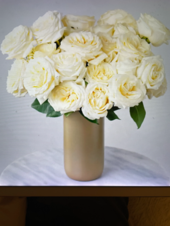 Garden Roses   