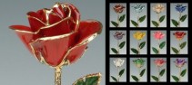 24 K Dipped Roses Keepsake Gift