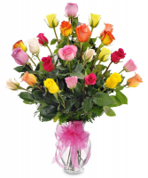 24 Mixed Rose Medley Best Seller ! 