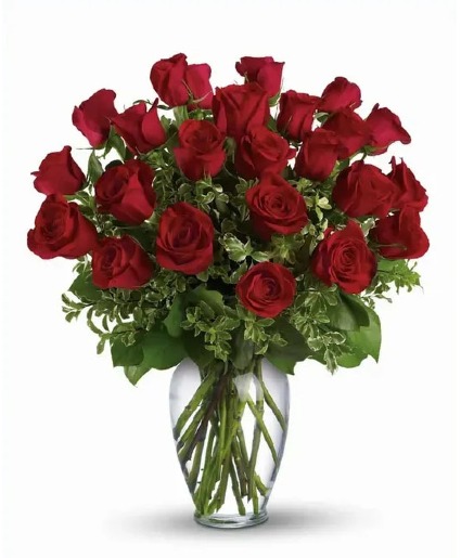 24 Red Rose Arrangement 