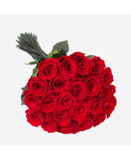 24 RED ROSES BLACK PAPER  