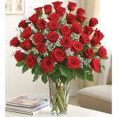 red roses in a vase roses