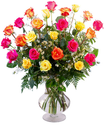 24 Rosas Mixtas Arreglo En Vase in Coral Springs, FL | DARBY'S FLORIST