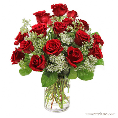 24 ROSES 