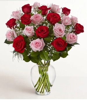 24 Roses in Red & Pink 