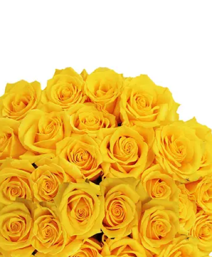 24 yellow roses  