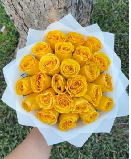 24 yellow roses   yellow roses