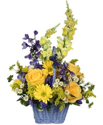 Fresh Air Basket Arrangement