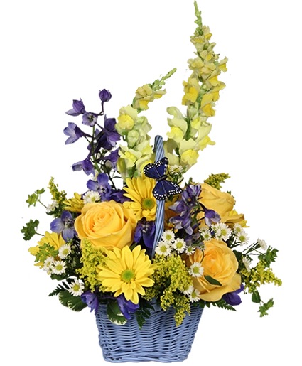 Fresh Air Basket Arrangement