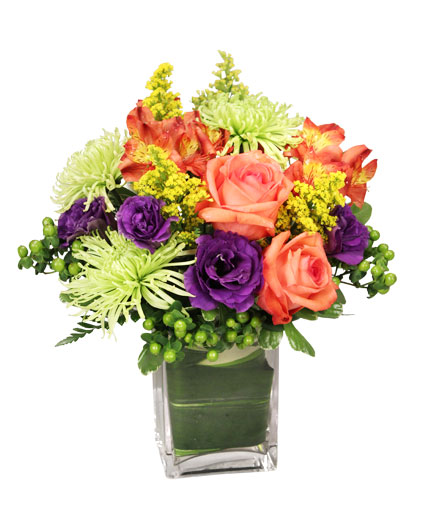 Jewels of Summer Flower Bouquet in Chatham, IL - TRENDSETTERS