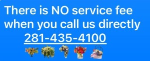281-435-4100 