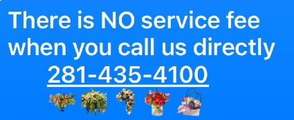 281-435-4100 