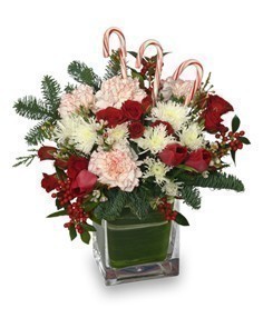 PEPPERMINT PLEASURES Christmas Bouquet in Niagara Falls, ON | THE FLOWER HOUSE