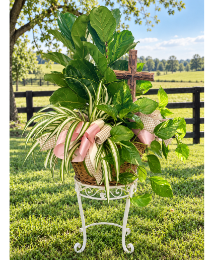 3 Assorted Plants in Basket with Bow & Cross 