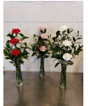 3 Carnation Budvase BV8 Bud vase