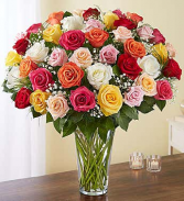 3 Dozen Long Stem - MULTI COLORS 