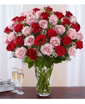 3 Dozen of Red & Pink Roses 
