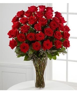 3 Dozen of Red Roses 
