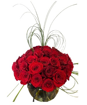 48 Premium Red Rose Arrangement 