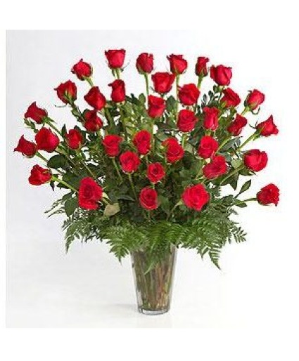 3 dozen roses 