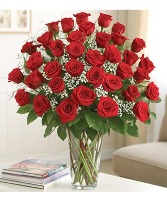 3 Dozen Roses Arranged  Roses