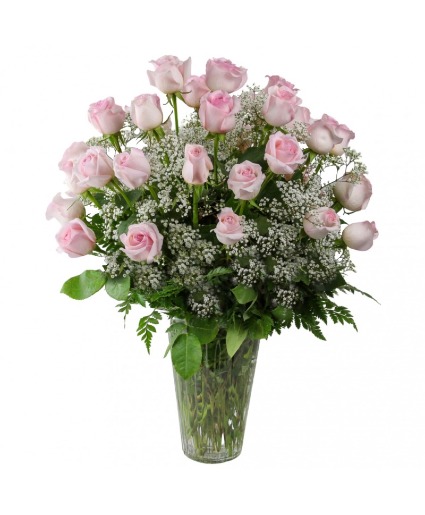 3 Dozen Roses Pink 