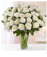 3 Dozen white roses Vase Arrangement 