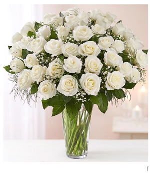 3 Dozen white roses Vase Arrangement 