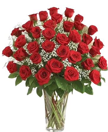 36 Red Roses with Babies Breath fresh floral in Houston, TX | FLOWERS ETC BY GEORGIA