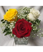 3 mixed roses arranged with seasonal filler (R) (Roses could vary in color depending on stock)
