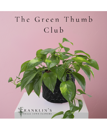 The Green Thumb Club Monthly Plant Subscription