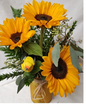 3 Sunflowers in a colored vase with filler (E) And a bird pic!