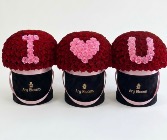 3 XL Boxes of Red Roses Red Roses