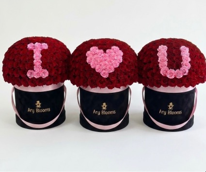 3 XL Boxes of Red Roses Red Roses