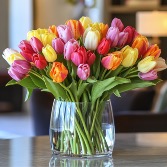 30 Tulips assorted  