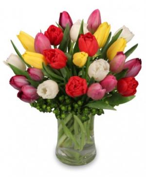 Tip Top Tulips Bouquet