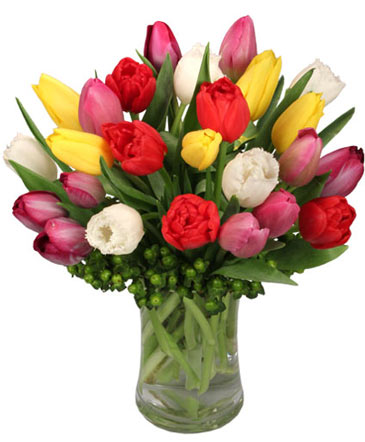 Tip Top Tulips Bouquet in Forest Hills, NY | FOREST HILLS LILIES OF THE VALLEY
