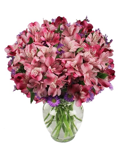 MAGENTA AGENDA Flower Arrangement