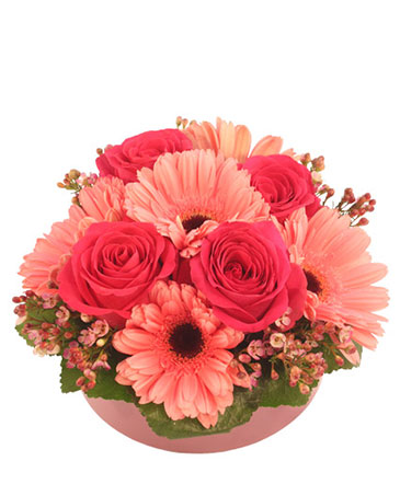 Bashful Blossoms Arrangement in Mount Airy, NC | CREATIVE DESIGNS FLOWERS & GIFTS