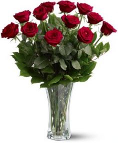 A Dozen Premium Roses Fresh Arrangement of Roses