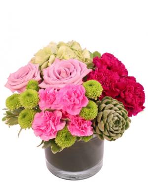 Soothe the Soul Arrangement
