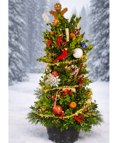 36" Boxwood Tree Fresh Gift